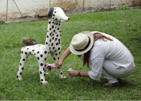 Inge Kitzing, die K&uuml;nstlerin